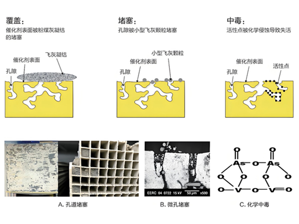 67e2716a0e295.jpg 催化劑說明.jpg